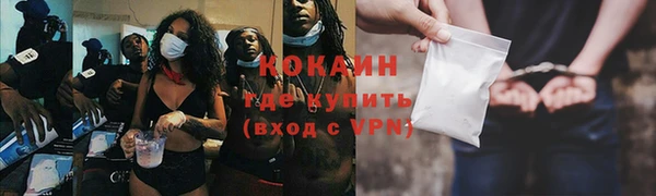 гидра Осинники