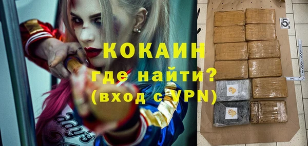 хмурый Абаза
