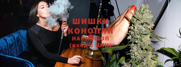 хмурый Абаза