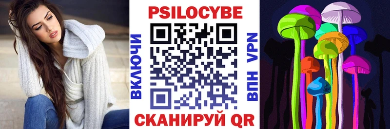 Псилоцибиновые грибы Psilocybe  Княгинино 